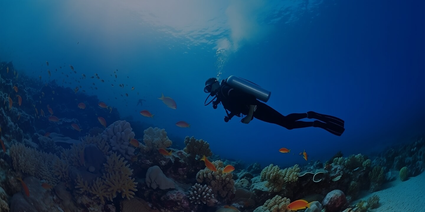 Let us clear the way, so that you can get more creative with your time.